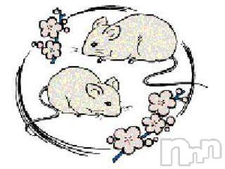 ĥʥå륺СݿξСޤޤ(ɥ󥷥祯祦ޥޥ) 2012ǯ523̥֥֡籿ưġ