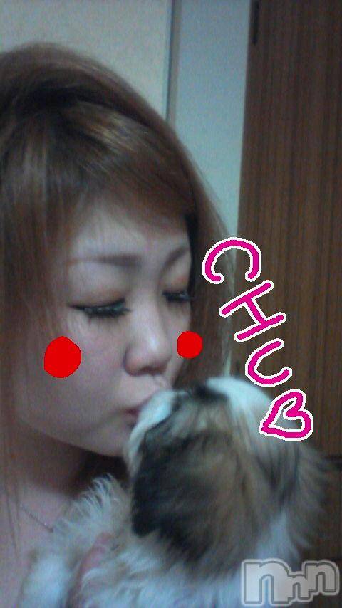 ĥʥå륺СݿξСޤޤ(ɥ󥷥祯祦ޥޥ) 2012ǯ1216̥֥֡ĥޥå󥳡ġ