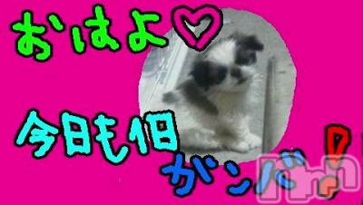 ĥʥå륺СݿξСޤޤ(ɥ󥷥祯祦ޥޥ) ߡ(27)623̥֥֡ĥĤġ