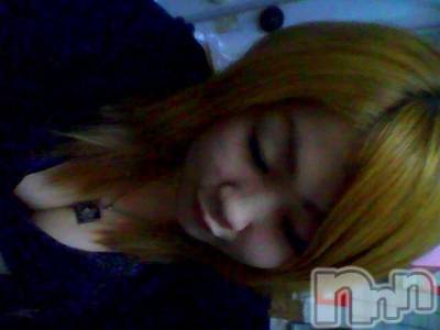 ĥʥå륺СݿξСޤޤ(ɥ󥷥祯祦ޥޥ) ߡ(27)319̥֥֡ĥϥġ