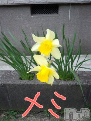 ĥʥå륺СݿξСޤޤ(ɥ󥷥祯祦ޥޥ) ߡ(27)424̥֥֡ĽդǤͤġ