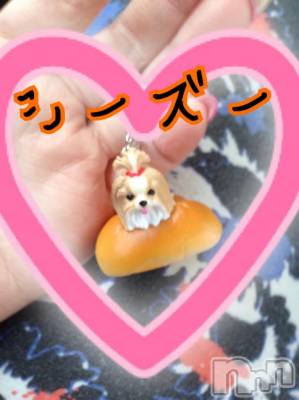 ĥʥå륺СݿξСޤޤ(ɥ󥷥祯祦ޥޥ) ߡ(27)1120̥֥֡GETġ