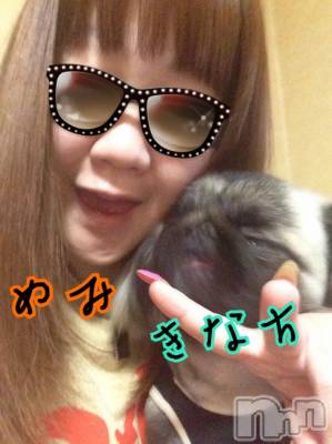 ĥʥå륺СݿξСޤޤ(ɥ󥷥祯祦ޥޥ) ߡ(27)120̥֥֡Ĵ͡ġ