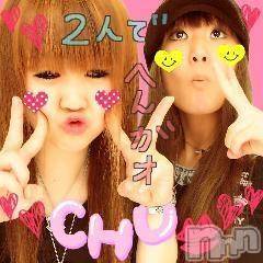 ĥʥå륺СݿξСޤޤ(ɥ󥷥祯祦ޥޥ) ߡ(27)212̥֥֡ĥͥġ