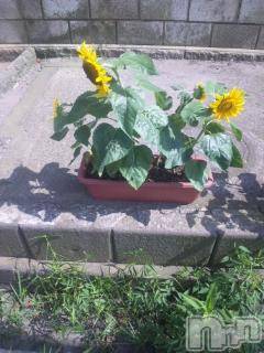 ĥʥå륺СݿξСޤޤ(ɥ󥷥祯祦ޥޥ) 727̥֥Ϥ(-.-;)