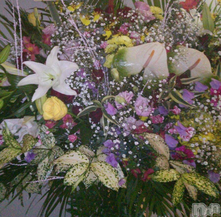 ĥʥå륺СݿξСޤޤ(ɥ󥷥祯祦ޥޥ) 1212̥֥happybirthday