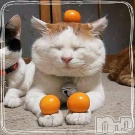 ĥʥå륺СݿξСޤޤ(ɥ󥷥祯祦ޥޥ) 1227̥֥1227 1255ʬμ̥֥