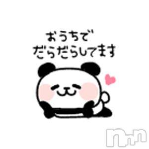 ĥʥå륺СݿξСޤޤ(ɥ󥷥祯祦ޥޥ) 113̥֥113 1616ʬμ̥֥