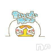 ĥʥå륺СݿξСޤޤ(ɥ󥷥祯祦ޥޥ) 210̥֥줿