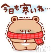 ĥʥå륺СݿξСޤޤ(ɥ󥷥祯祦ޥޥ) 1222̥֥1222 0701ʬμ̥֥