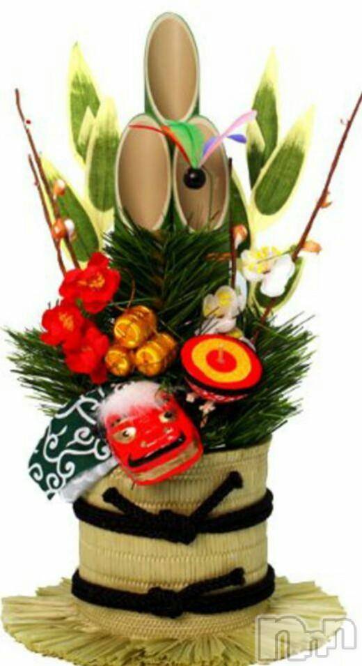 ĥʥå륺СݿξСޤޤ(ɥ󥷥祯祦ޥޥ) 12̥֥2