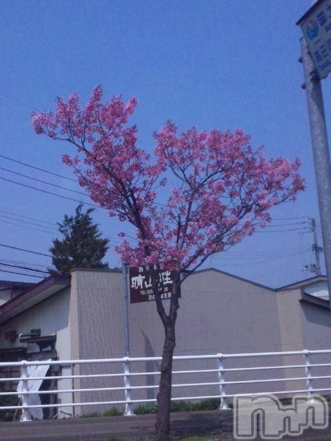 ĥʥå륺СݿξСޤޤ(ɥ󥷥祯祦ޥޥ) 2012ǯ425ֶ̥֥᤯Ρ