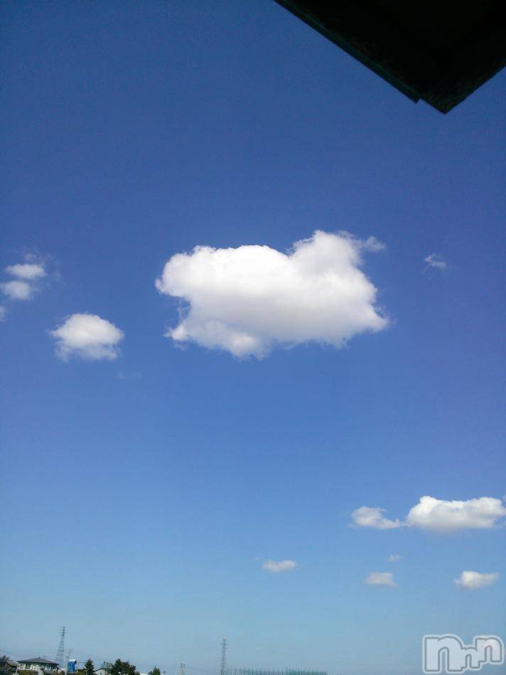 ĥʥå륺СݿξСޤޤ(ɥ󥷥祯祦ޥޥ) 2012ǯ109ֽ̥֥