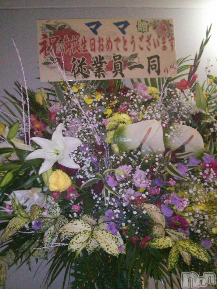ĥʥå륺СݿξСޤޤ(ɥ󥷥祯祦ޥޥ) 2012ǯ1214̥֥