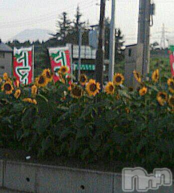 ĥʥå륺СݿξСޤޤ(ɥ󥷥祯祦ޥޥ) 2013ǯ818̥֥̯ԡ