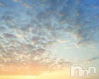 ĥʥå륺СݿξСޤޤ(ɥ󥷥祯祦ޥޥ) 2014ǯ927̥֥ī