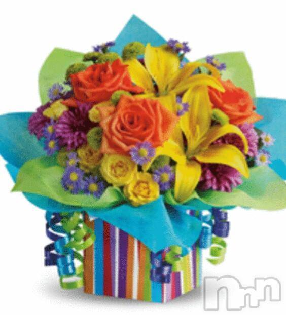 ĥʥå륺СݿξСޤޤ(ɥ󥷥祯祦ޥޥ) 2015ǯ1225̥֥12