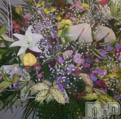ĥʥå륺СݿξСޤޤ(ɥ󥷥祯祦ޥޥ) 1212̥֥happybirthday