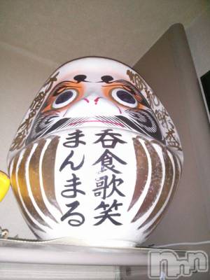ĥʥå륺СݿξСޤޤ(ɥ󥷥祯祦ޥޥ) 1230̥֥30