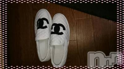 ĥʥå륺СݿξСޤޤ(ɥ󥷥祯祦ޥޥ) 130̥֥130 1649ʬμ̥֥