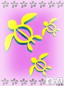ĥʥå륺СݿξСޤޤ(ɥ󥷥祯祦ޥޥ) 63̥֥֤äȡ