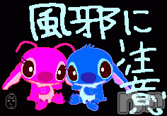 ĥʥå륺СݿξСޤޤ(ɥ󥷥祯祦ޥޥ) 1211̥֥֤ޡ