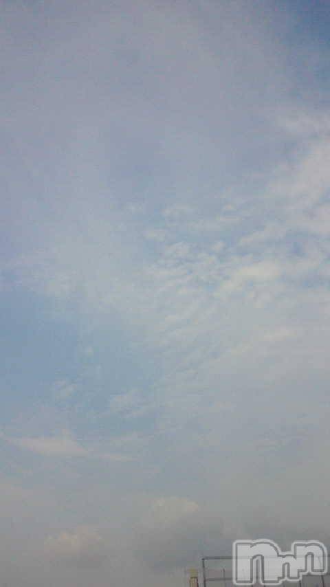 ĥʥå륺СݿξСޤޤ(ɥ󥷥祯祦ޥޥ) 2010ǯ826̥֥籫