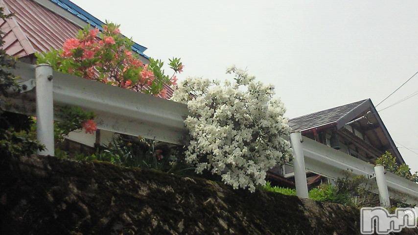 ĥʥå륺СݿξСޤޤ(ɥ󥷥祯祦ޥޥ) 2011ǯ528̥֥֤ȣ