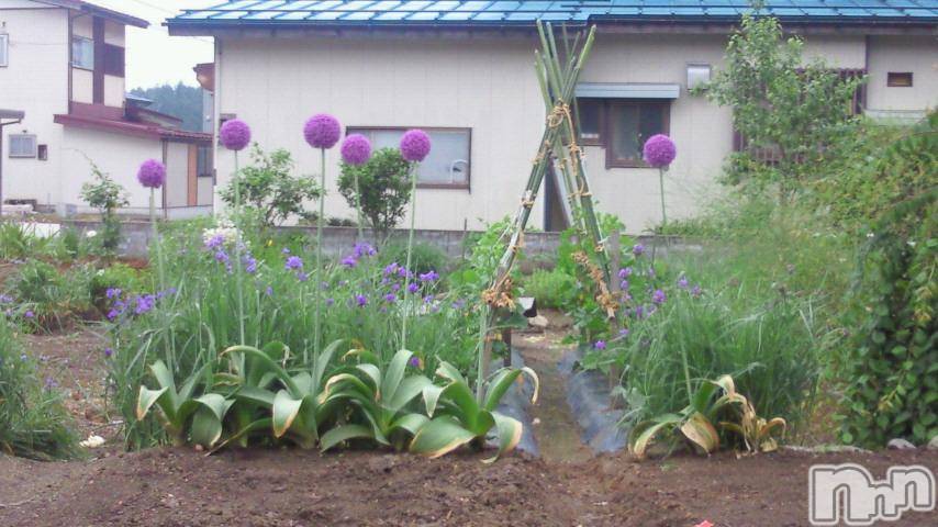 ĥʥå륺СݿξСޤޤ(ɥ󥷥祯祦ޥޥ) 2011ǯ614̥֥֤ޡ