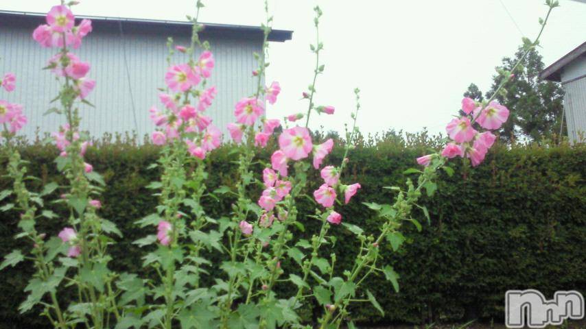 ĥʥå륺СݿξСޤޤ(ɥ󥷥祯祦ޥޥ) 2011ǯ626̥֥֤ޤǤ