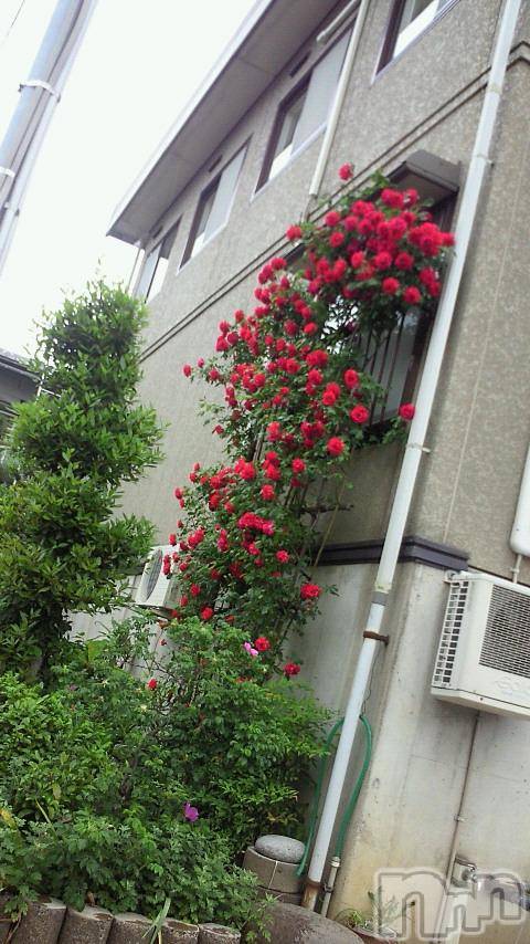 ĥʥå륺СݿξСޤޤ(ɥ󥷥祯祦ޥޥ) 2011ǯ720ֻ̥֥٤ơ