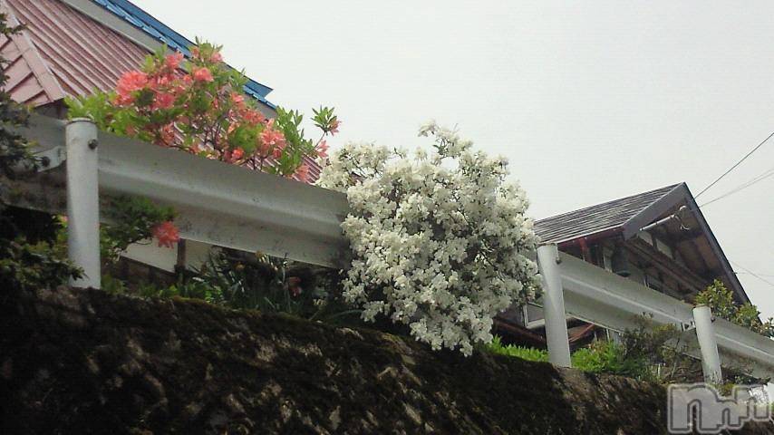 ĥʥå륺СݿξСޤޤ(ɥ󥷥祯祦ޥޥ) 2011ǯ721̥֥֤ޡ