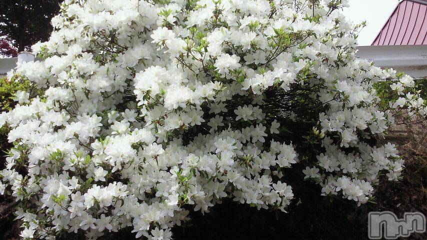 ĥʥå륺СݿξСޤޤ(ɥ󥷥祯祦ޥޥ) 2011ǯ721̥֥֤Ƥ(^^)v
