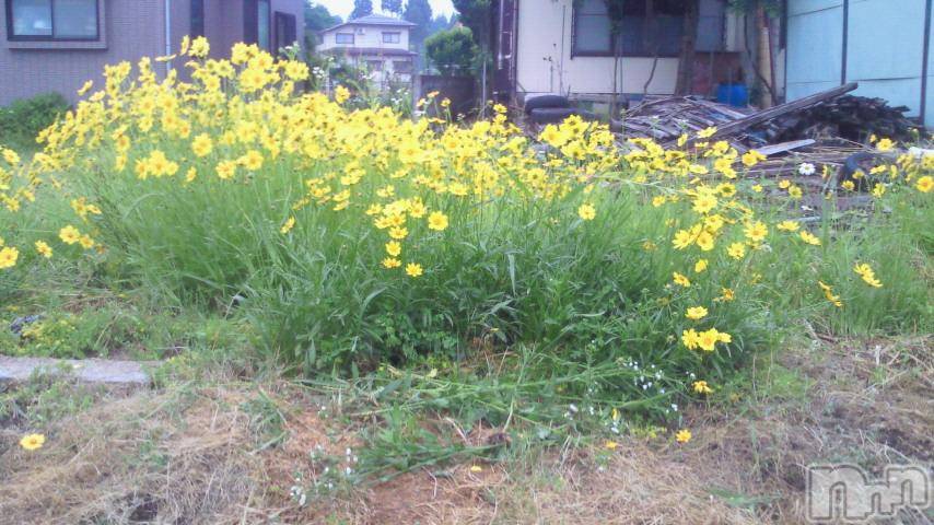 ĥʥå륺СݿξСޤޤ(ɥ󥷥祯祦ޥޥ) 2011ǯ816̥֥椬