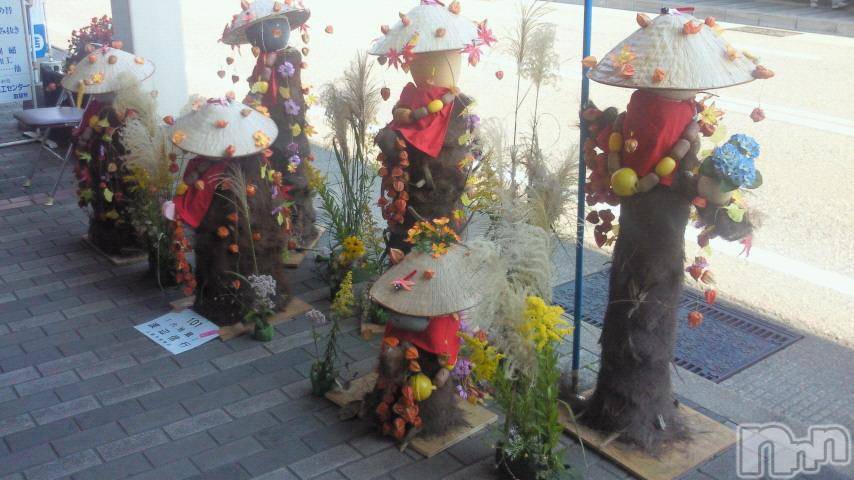 ĥʥå륺СݿξСޤޤ(ɥ󥷥祯祦ޥޥ) 2011ǯ1010̥֥֤ä