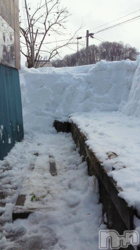 ĥʥå륺СݿξСޤޤ(ɥ󥷥祯祦ޥޥ) 2012ǯ110̥֥㤫