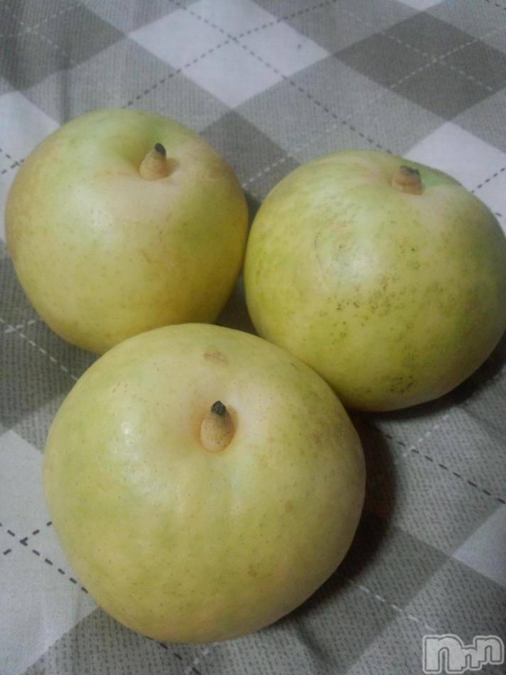 ĥʥå륺СݿξСޤޤ(ɥ󥷥祯祦ޥޥ) 2013ǯ1011̥֥