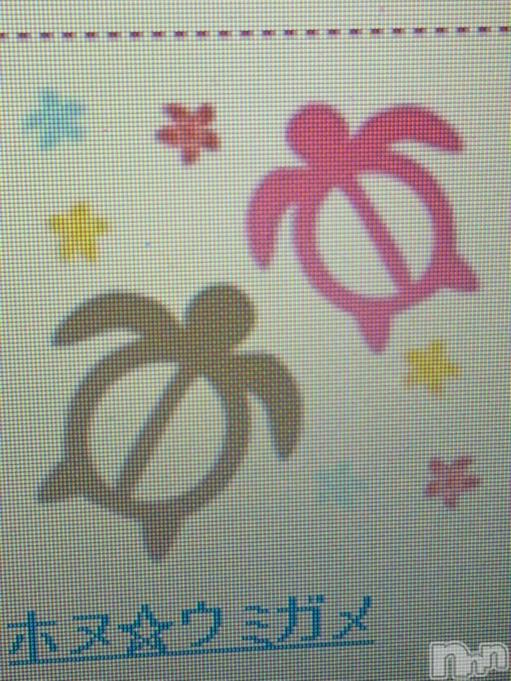 ĥʥå륺СݿξСޤޤ(ɥ󥷥祯祦ޥޥ) 2015ǯ1019ֵ̥֥򴹡