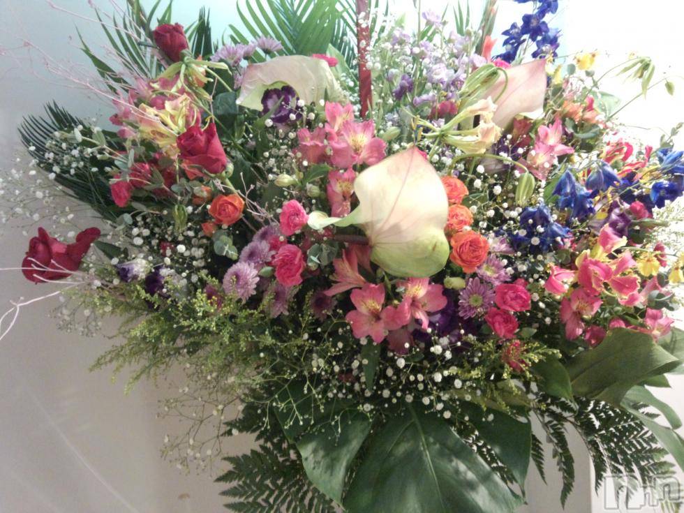 ĥʥå륺СݿξСޤޤ(ɥ󥷥祯祦ޥޥ) 2015ǯ1122̥֥Ǥ