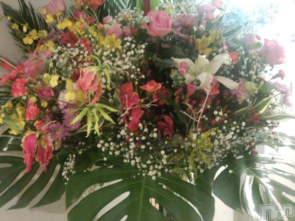 ĥʥå륺СݿξСޤޤ(ɥ󥷥祯祦ޥޥ) 2015ǯ1225̥֥happybirthday