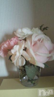 ĥʥå륺СݿξСޤޤ(ɥ󥷥祯祦ޥޥ) (30)1231̥֥ǯۤ