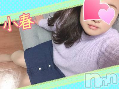 松本発デリヘル ポチャ女子(ポチャジョシ) 小春お姉さん(25)の12月15日写メブログ「ちゅう(*´³`*)&nbsp;ㄘゅ♡」