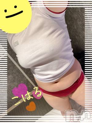 松本発デリヘル ぽっちゃりお姉さん専門　ポチャ女子(ポッチャリオネエサンセンモンポチャジョシ) 小春お姉さん(25)の11月25日写メブログ「いつもの通り⋆⸜🧡⸝‍⋆」