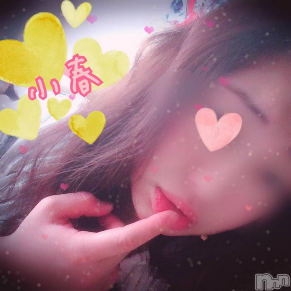 春がきた～♩♪