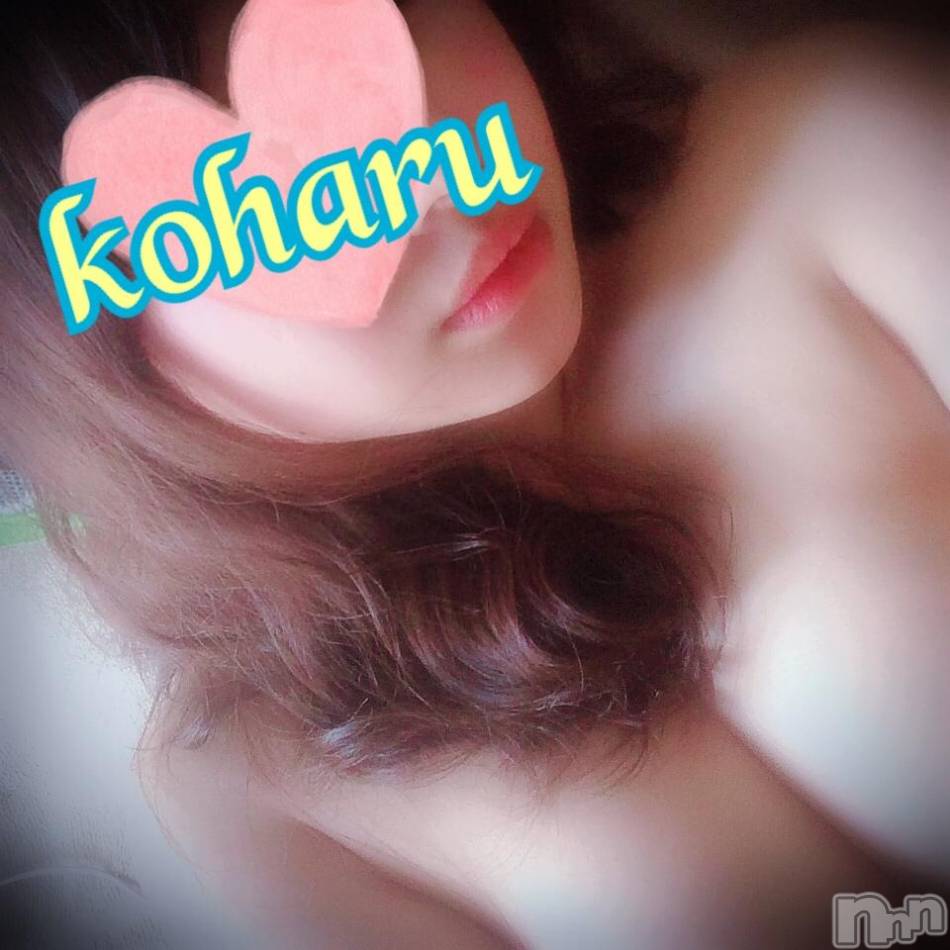 1年がたちました(๑•ω•๑)♡