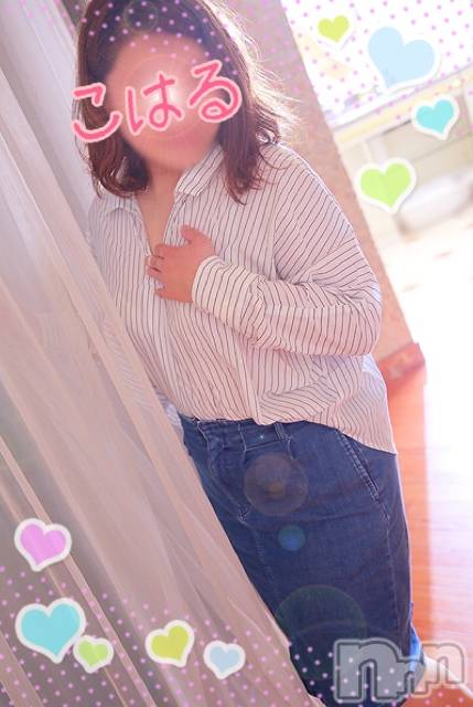 お願いします。もっと…/////