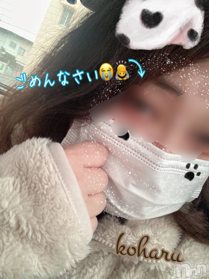 ごめんなさい🙇⤵︎