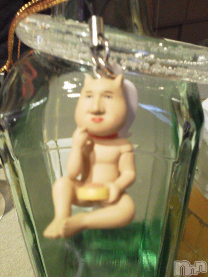 ĥʥå륺СݿξСޤޤ(ɥ󥷥祯祦ޥޥ) ͥҤ213ֺ̥֥
