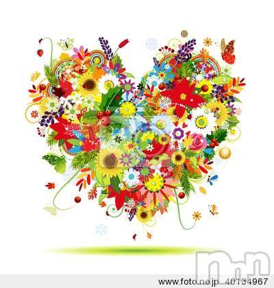 ĥʥå륺СݿξСޤޤ(ɥ󥷥祯祦ޥޥ) 2015ǯ1218̥֥֥ϥåԡСǡ