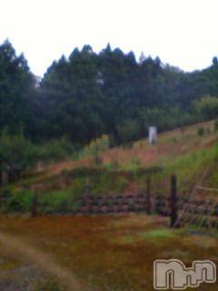 ĥʥå륺СݿξСޤޤ(ɥ󥷥祯祦ޥޥ) 2010ǯ812ּ̥֥²Ȥˡ